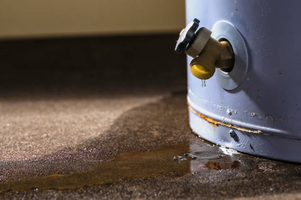 Best 24/7 water damage repair  in Wellington, CO