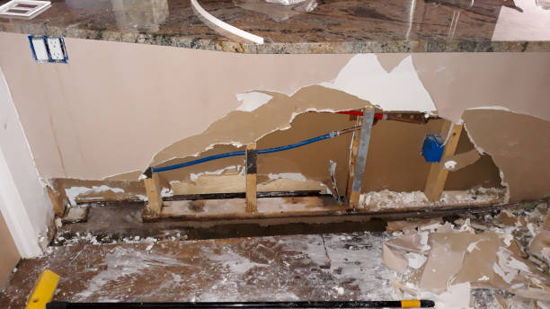 Best Local water damage restoration  in Wellington, CO