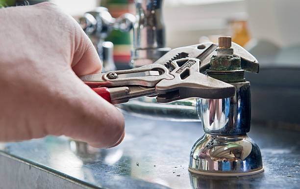 Best Ceiling water damage repair  in Wellington, CO