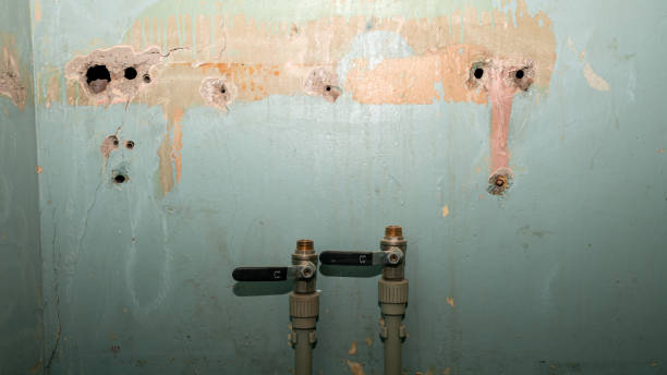 Best Emergency water damage restoration  in Wellington, CO