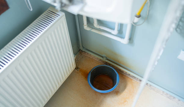 Best Water damage cleanup near me  in Wellington, CO