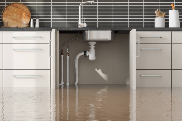 Water damage restoration experts in CO