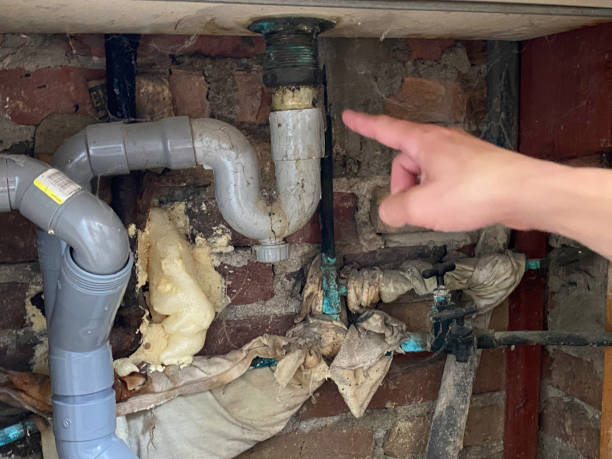 Best Water damage restoration near me  in Wellington, CO