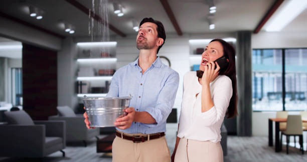 Best Water damage contractors near me  in Wellington, CO