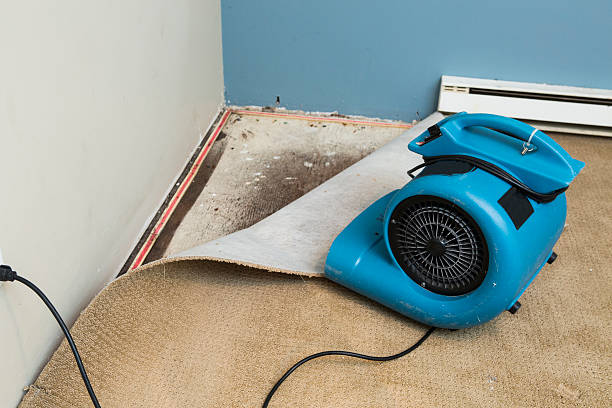 Reliable CO Water damage restoration Solutions